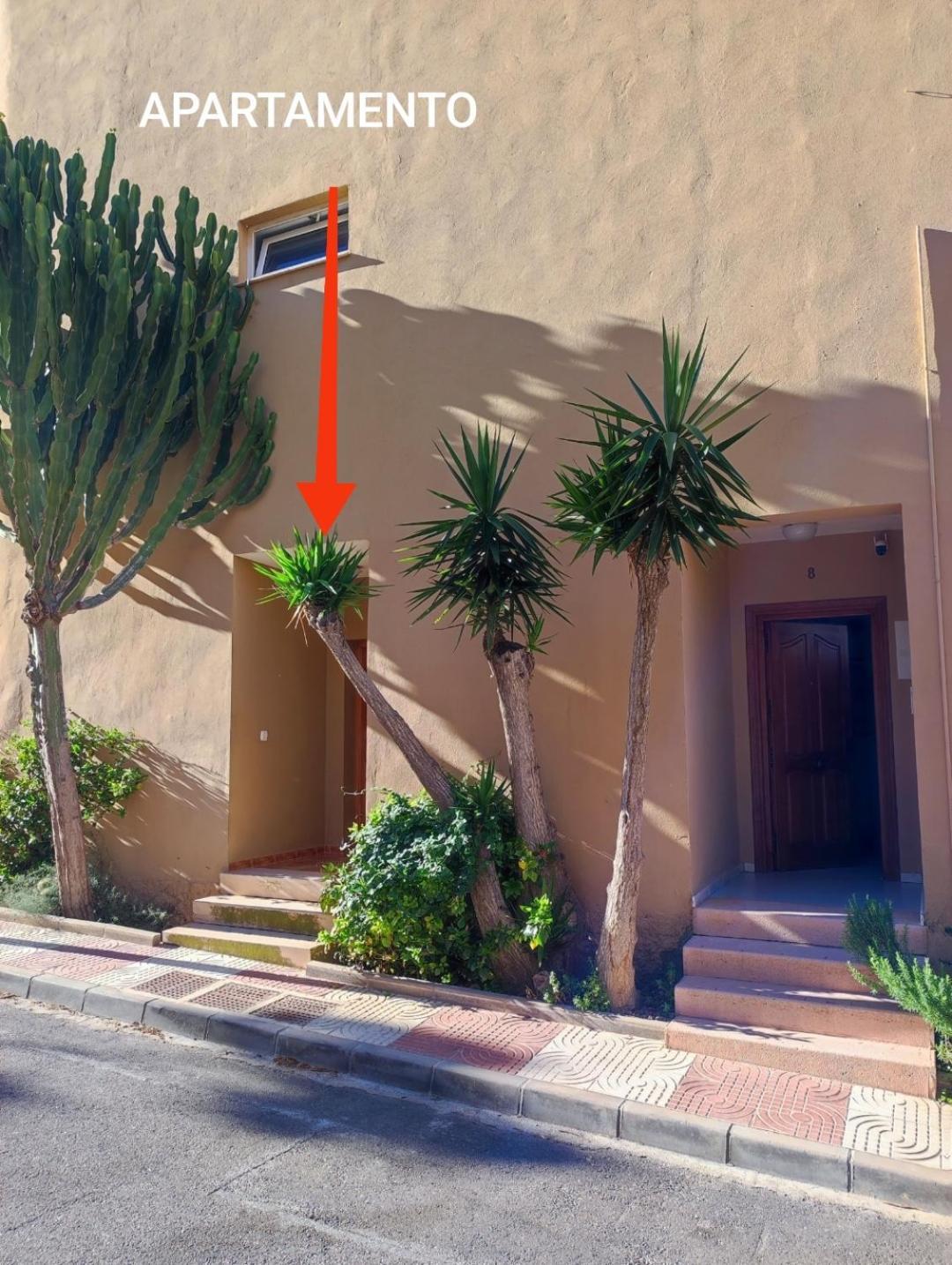 Apartamentos Aguadulce Aguadulce  Rum bild
